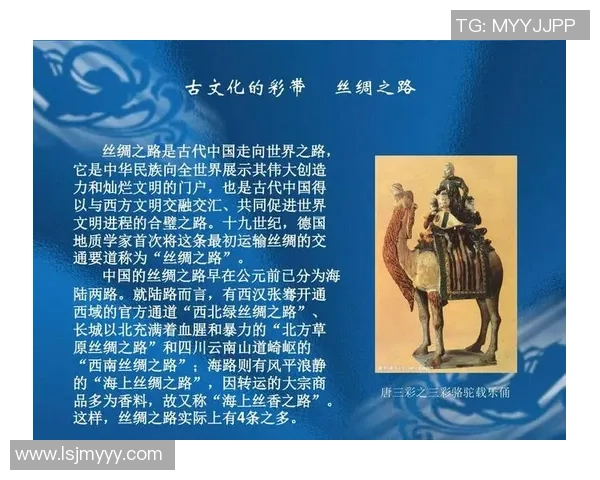史鸿飞的传奇人生与不懈追求探索科学与艺术的交汇之路