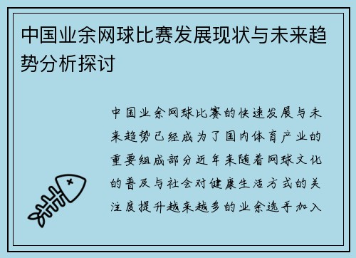 中国业余网球比赛发展现状与未来趋势分析探讨